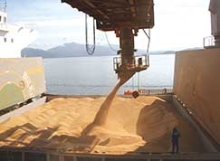 Embarque em volume fsico foi recorde, mas desvalorizao do dlar frente ao real, pesou contra saldo anual