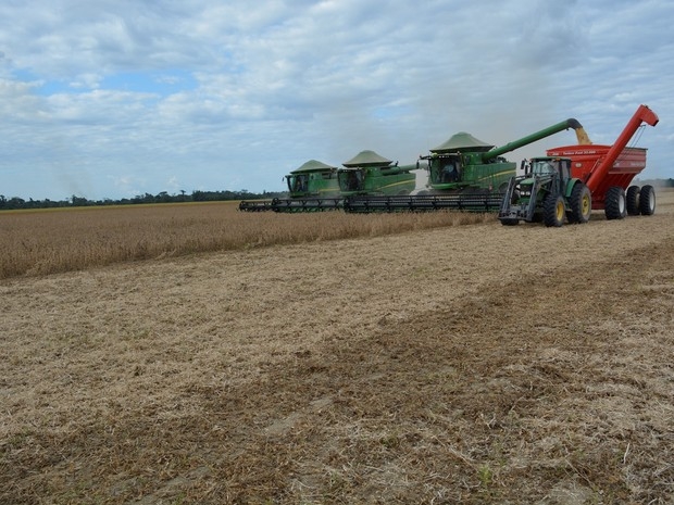 rgo prev supersafra e aumento de 22% na produo do estado (Foto: Jeferson Carlos/G1)