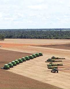Ritmo acelerado no campo. Aproveitando a estiagem, produtores avanam na colheita da soja e ao mesmo tempo semeiam o milho safrinha