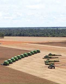 Ritmo acelerado no campo. Aproveitando a estiagem, produtores avanam na colheita da soja e ao mesmo tempo semeiam o milho safrinha