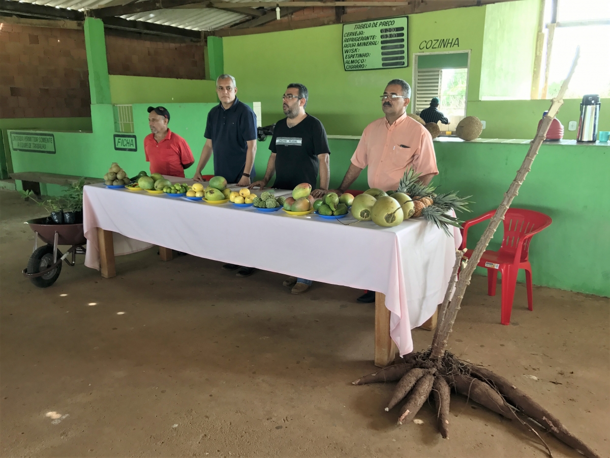 Prefeito Zema Fernandes, Secretrio Bid, Vice Rgis Meira e o presidente do sindicato dos trabalhadores Rurais Tulipinha.