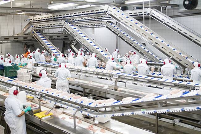 Segundo a Pesquisa Industrial Mensal, a queda em 2016 foi generalizada, atingindo a maioria dos segmento analisados (Reproduo)