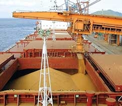 Soja garantiu faturamento recorde em janeiro de 2017, mas ficou somente com o terceiro lugar da pauta