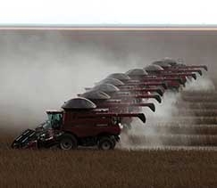 Cenrio aponta para quebra do prprio recorde de MT no campo, por mais um ano se atingir 55,94 milhes/t