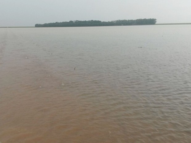 Chuva causou prejuzo e alagpu plantaes em Campo Novo do Parecis (MT) (Foto: Giovana Velke/Sindicato Rural de Campo Novo do Parecis)
