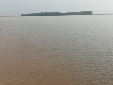 Chuva causou preju�zo e alagpu planta��es em Campo Novo do Parecis (MT) (Foto: Giovana Velke/Sindicato Rural de Campo Novo do Parecis)