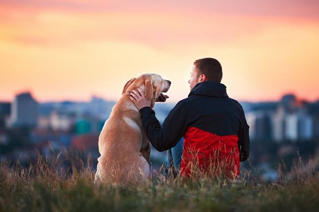 Cachorros e donos são capazes de influenciar as emoções um do outro e ajustar seu comportamento a elas (iStockphoto/Getty Images)
