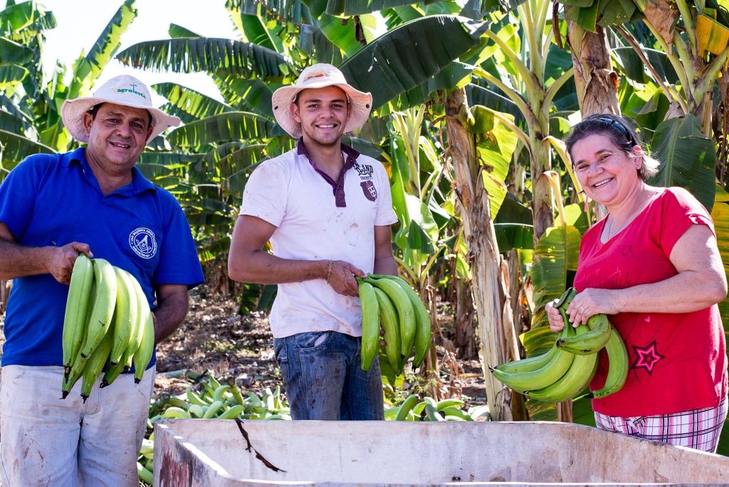 Produo de Mato Grosso - Foto por: Joo de Melo - Empaer MT