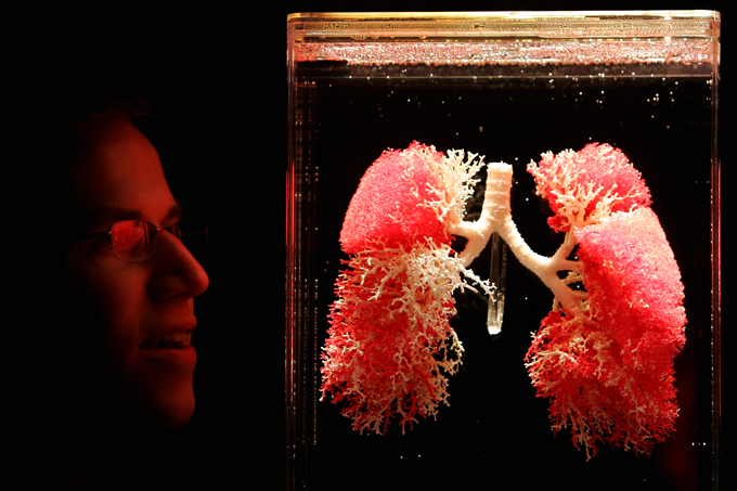 Pulmões: os órgãos ganharam mais uma função (Scott Barbour/Getty Images)