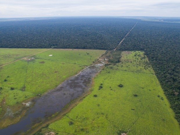 rea foi dividida em 31 lotes que podem ser adquiridos em leilo presencial e eletrnico (Foto: Lut Leiles/ Divulgao)