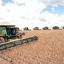 Restam menos de 99% para a finalizao na regio mdio norte