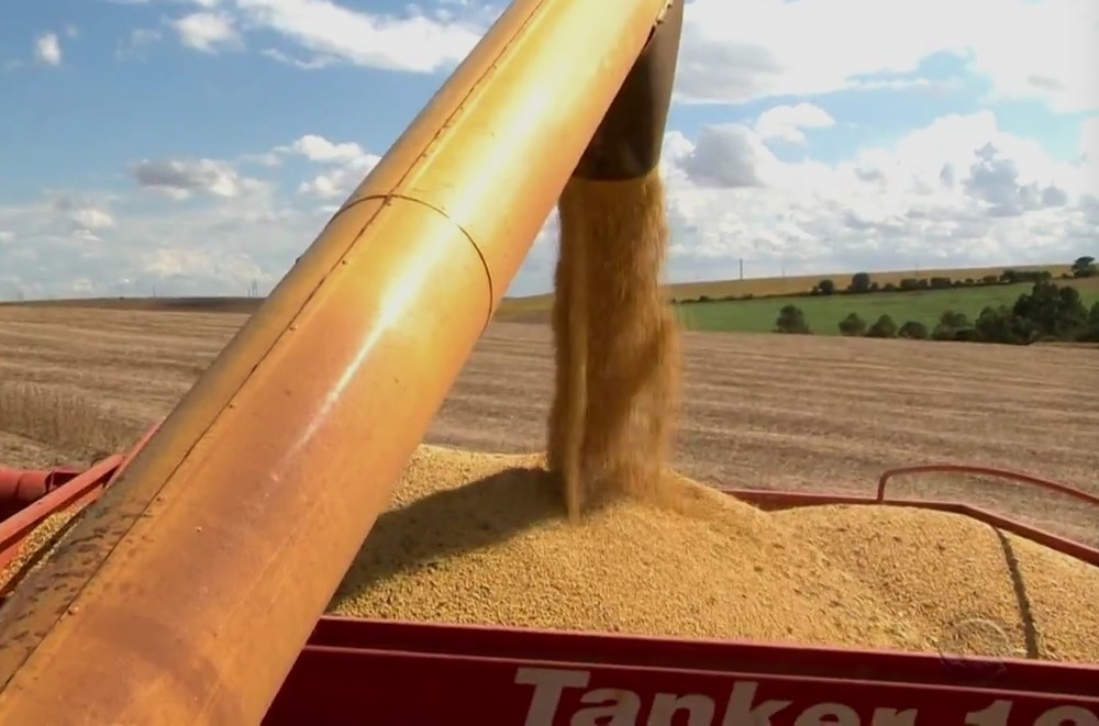 Rio Grande do Sul  o terceiro maior produtor de soja do pas (Foto: Reproduo/RBS TV)
