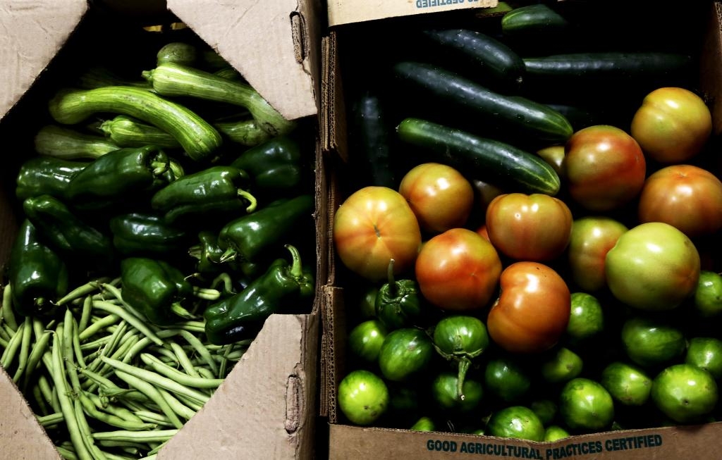 Produtos da Agricultura Familiar - Foto por: Gcom