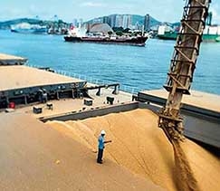 Como destacam analistas do Imea, volume exportado representa 29% da expectativa para 2017