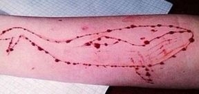 PM afirma possuir nome e fotos de curadores de 'jogo suicida