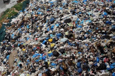 Descobertas anteriores j tinham confirmado a existncia de microplsticos no estmago de animais marinhos, mas, pela primeira vez, o mesmo foi observado em terra firme (Joseph Eid/AFP)