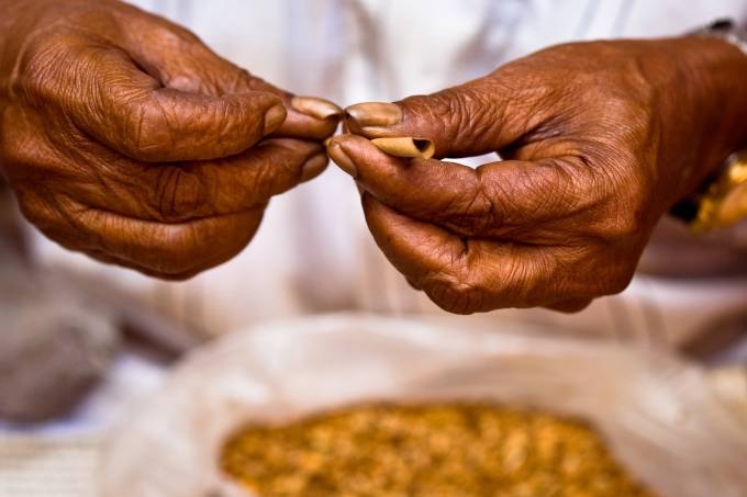 Cigarro (iStockphoto/Getty Images)