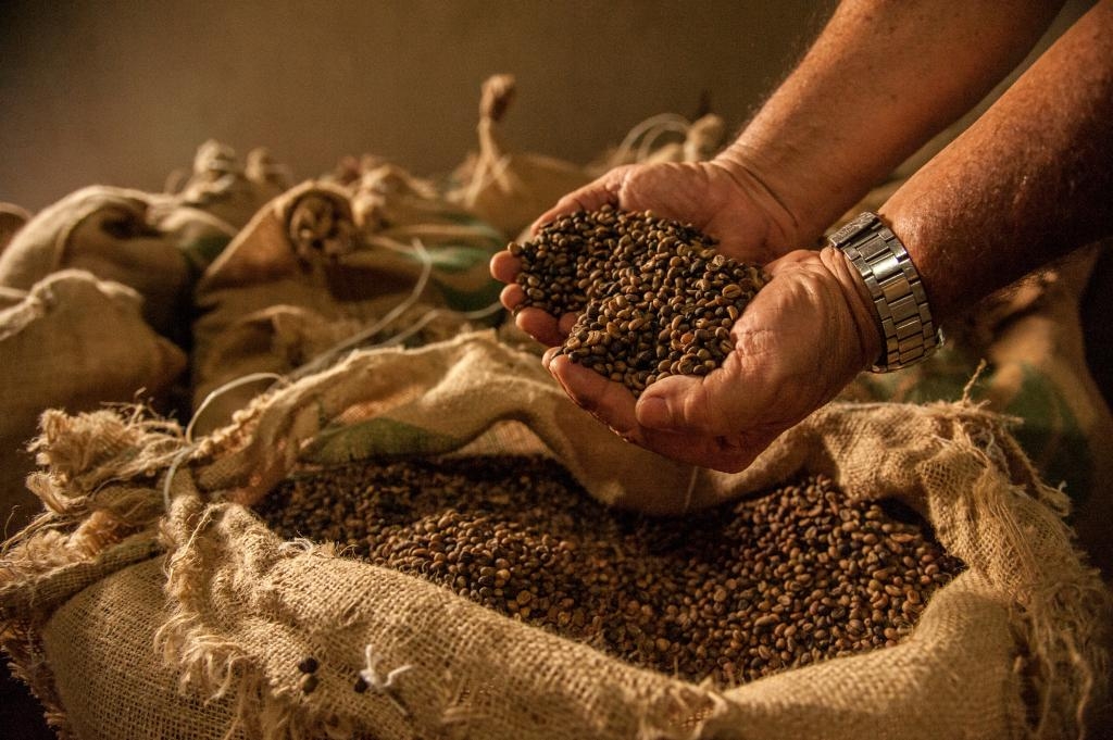 Agricultura familiar - Foto por: Maria Anffe