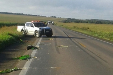 Corpo estava com escoriaes de um provvel arrastamento