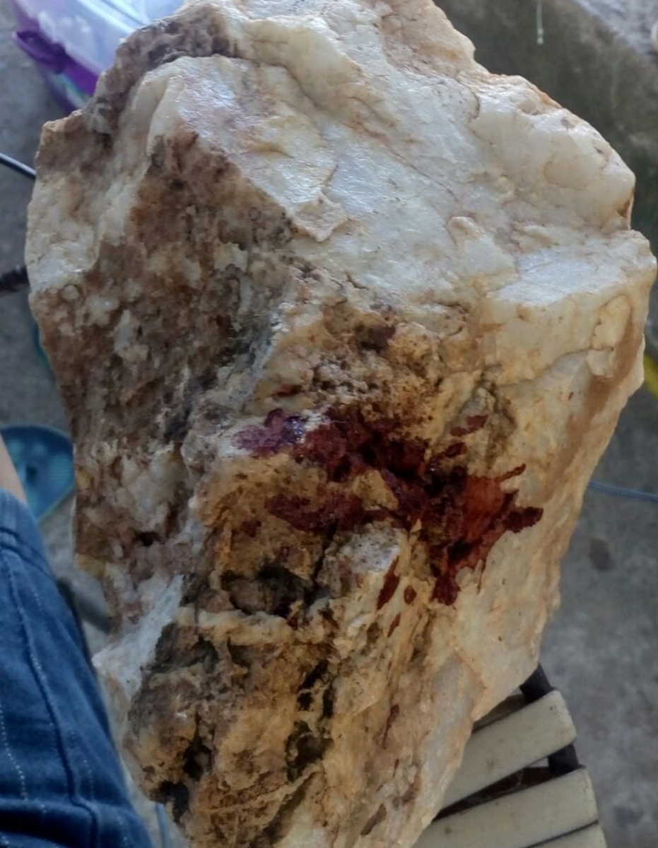 Assaltante usou uma pedra para agredir o idoso de 74 anos