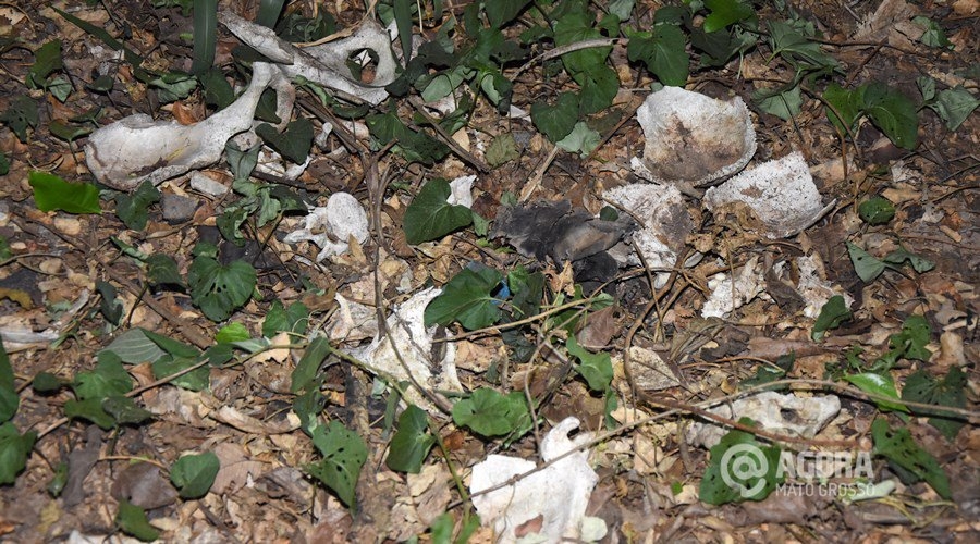 Ossada humana encontrada as margens do anel virio 