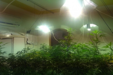 Estufa construda dentro de uma casa no Bairro Cidade Alta, em Cuiab