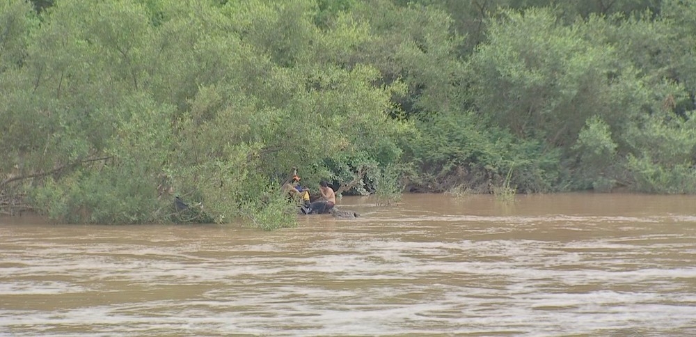 Pesca  proibida no perodo de reproduo dos peixes  Foto: TVCA/ Reproduo