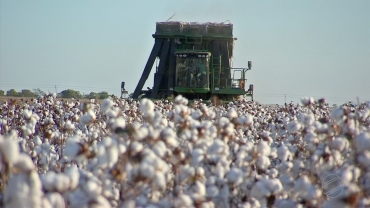 Cresce n�mero de mulheres atuando no campo � Foto: TVCA/ Reprodu��o