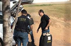 Em Mato Grosso, no terceiro trimestre do ano, foram abatidas 1,4 milho de cabeas de gado bovino