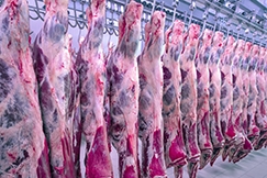 Na pecuria, a atividade que contabilizou a maior receita do ano foi a bovinocultura com saldo de R$ 12,60 bilhes