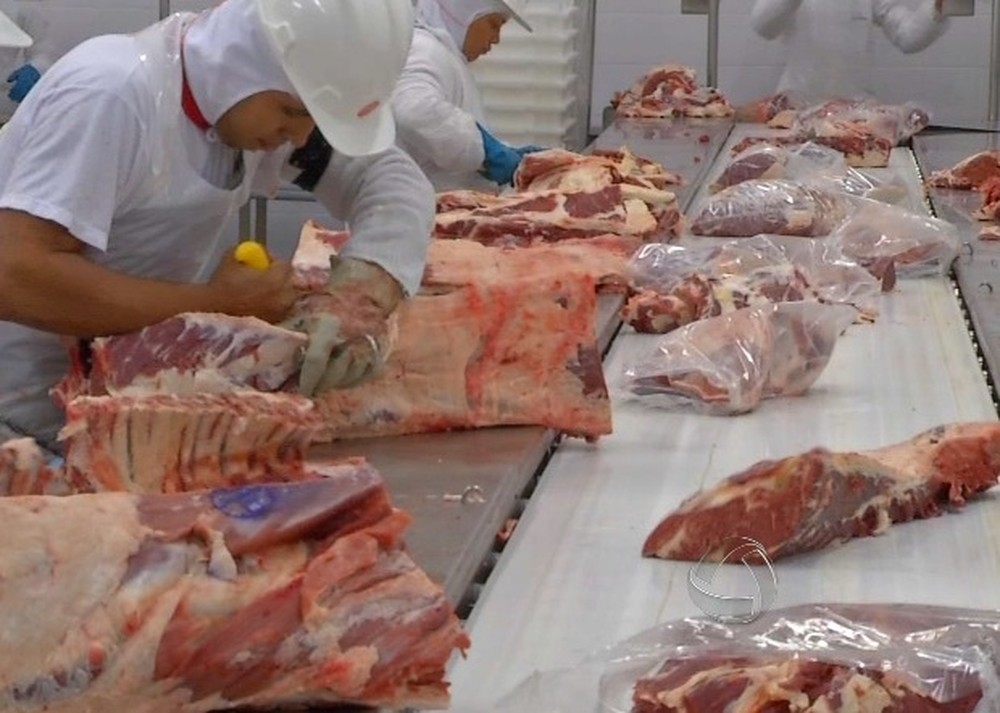 Carne bovina � o terceiro setor com o melhor desempenho, s� fica atr�s do milho e da soja � Foto: Reprodu��o/TVCA