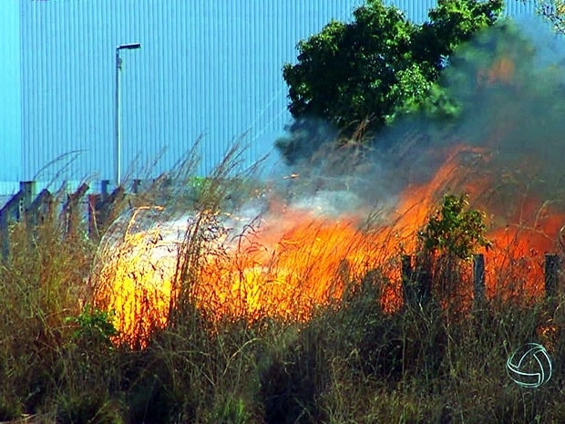 Focos de incndio podem ter provocado acidente em rodovia, aponta polcia