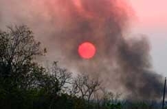 Incndio em terreno baldio  a principal preocupao do Corpo de Bombeiros na rea urbana