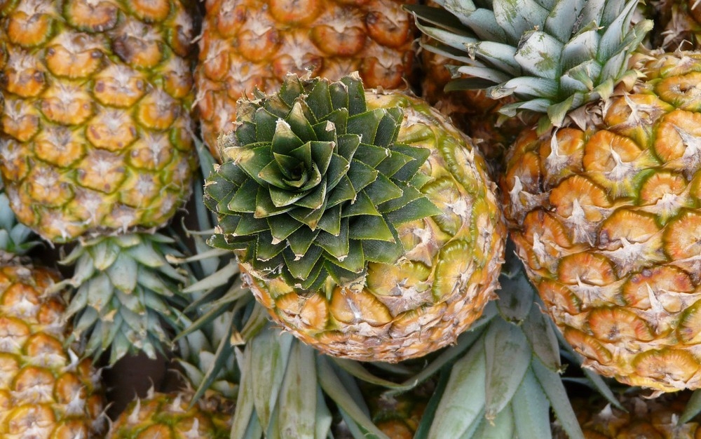 Abacaxi est em falta no mercado  Foto: Hans/Creative Commons