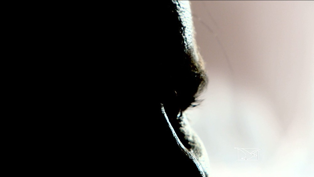 Levantamento traou perfil das vtimas  Foto: Reproduo/TV Mirante