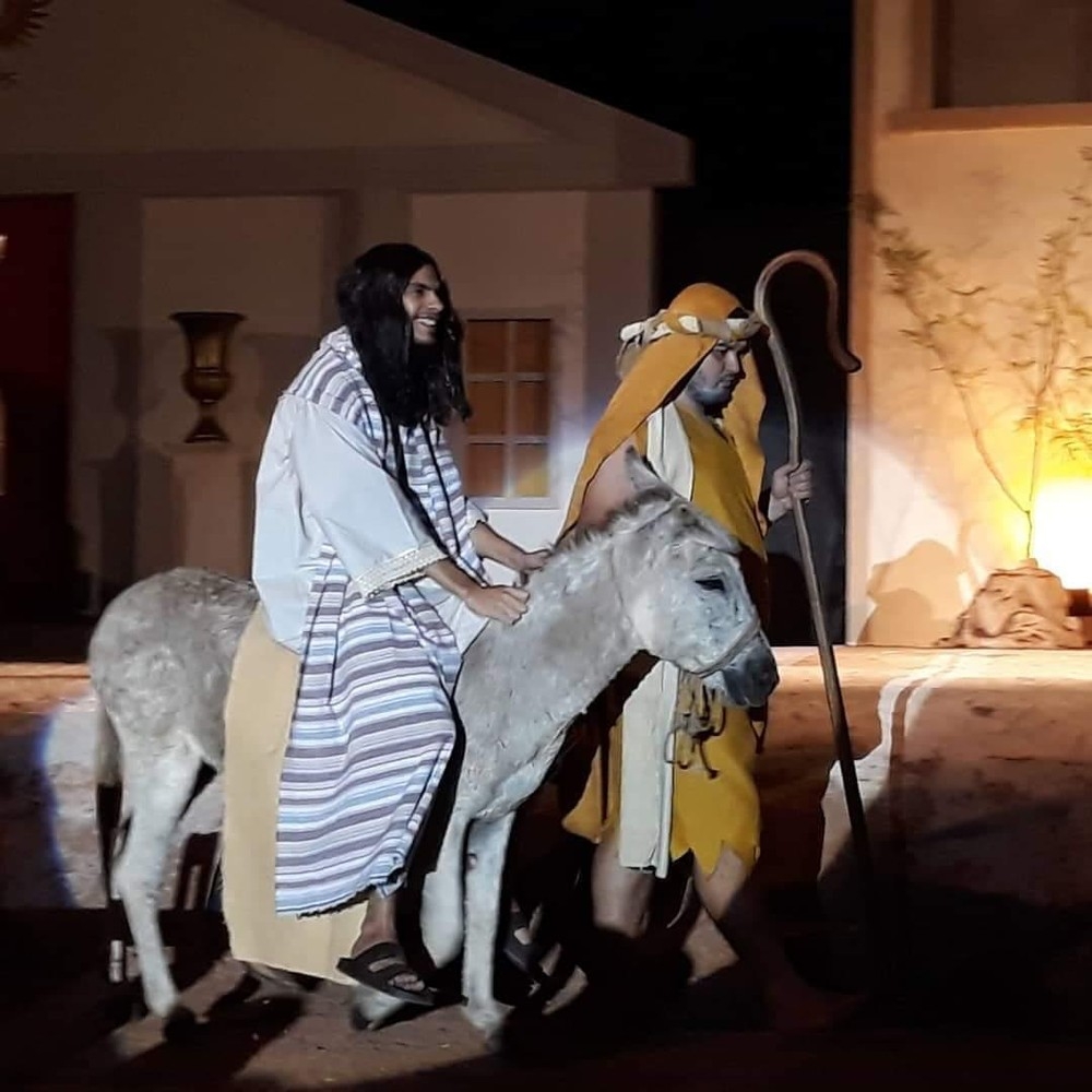 Jumentinha  encontrada pouco antes do incio da apresentao  Foto: Prefeitura de Cceres