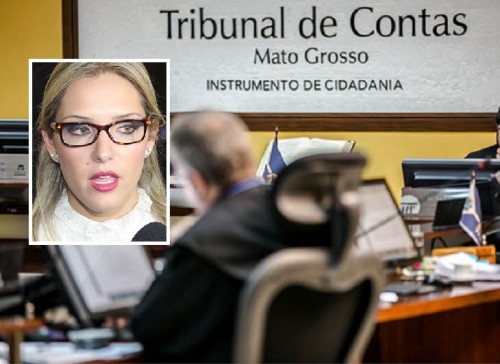 Projeto sobre forma de indicao para ocupar cadeira no TCE  da deputada Janana Riva