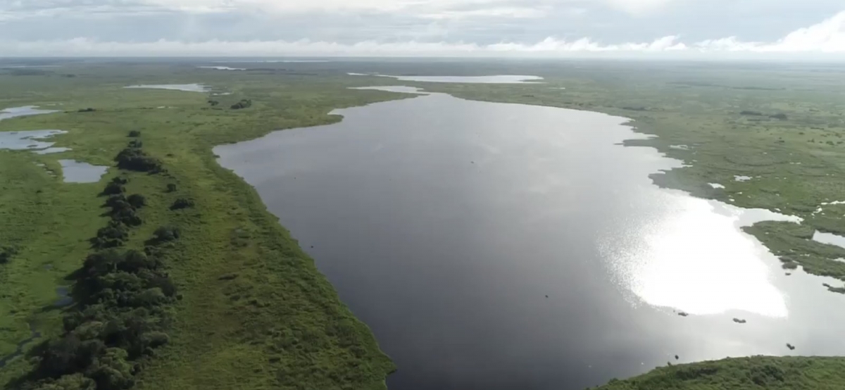 Rio contempla importantes biomas  Foto: Marcelo Souza/ TVCA