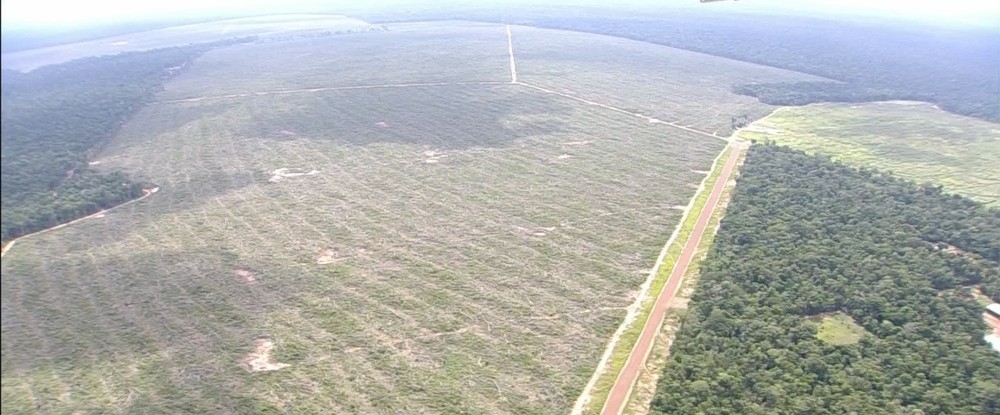 So 4.431 queimadas registradas at o dia 3 de junho.  Foto: TVCA/Reproduo