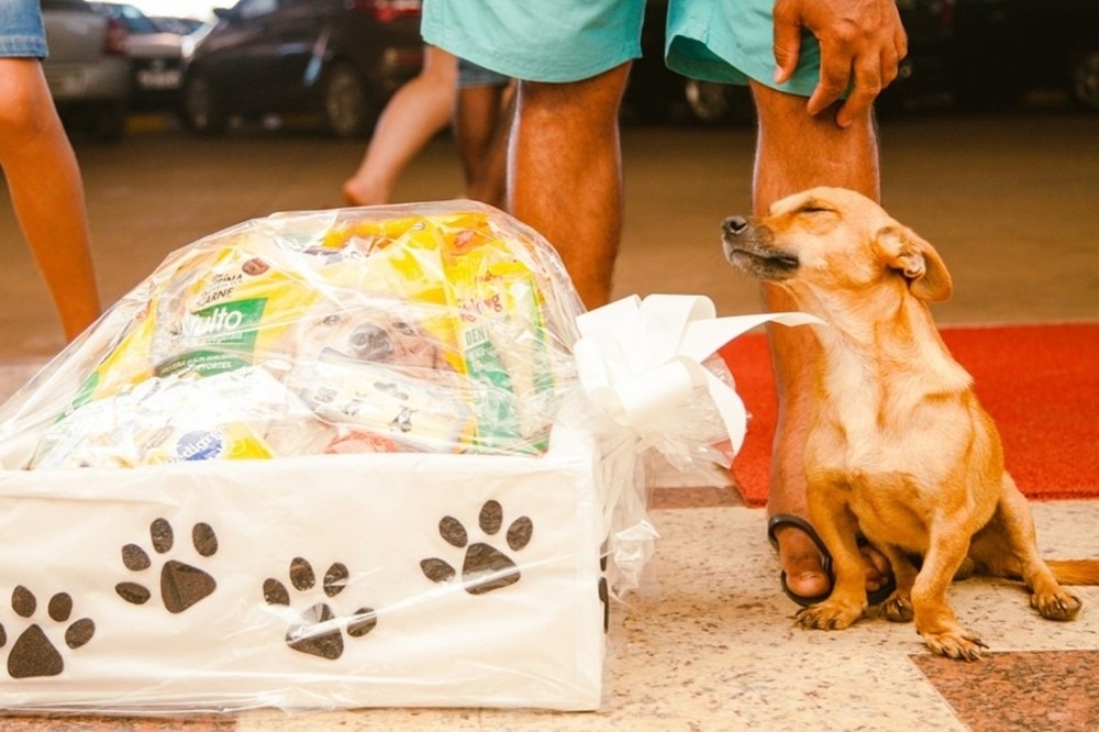 Pepeu protege a bicicleta na ausncia do dono  Foto: Cicero Ferreira Santos/Arquivo pessoal
