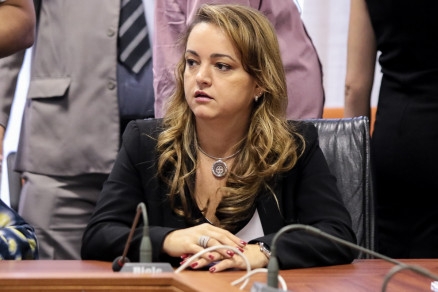 A secretria da Sema, Mauren Lazzaretti: projeto na Assembleia