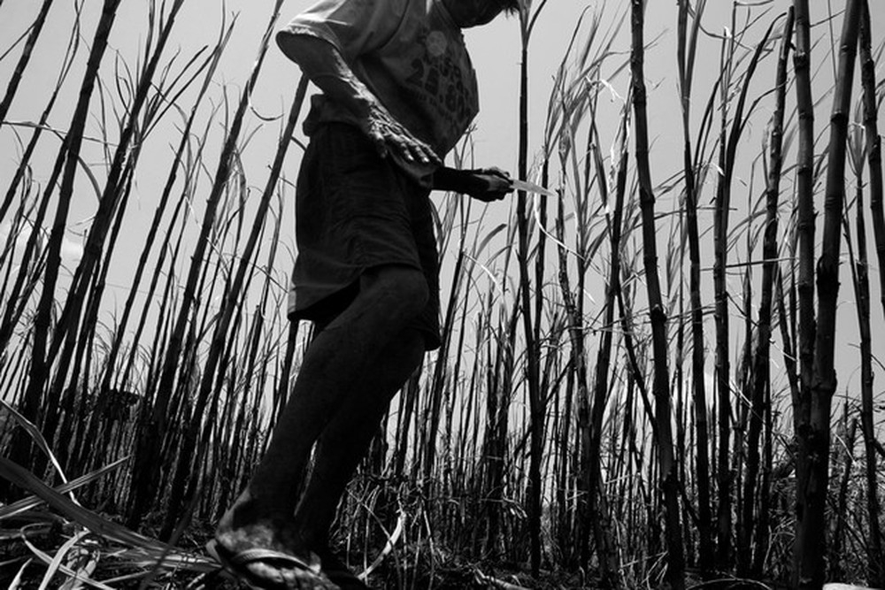 Maior parte das pessoas aliciadas ou vtimas de trfico so submetidas ao trabalho escravo, diz MPT.  Foto: Srgio Carvalho/ Arquivo pessoal