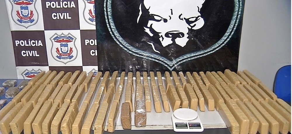 Quantidade apreendida pelas foras de segurana aumentou  Foto: TVCA/Reproduo