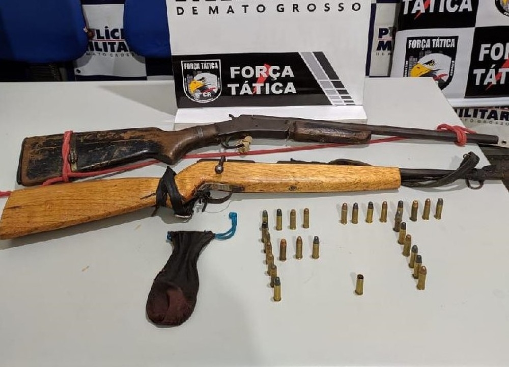 Levantamento leva em conta armas apreendidas entre janeiro e julho  Foto: Polcia Militar/Divulgao