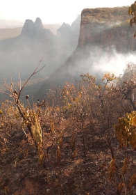 rea do Parque Nacional de Chapada dos Guimares atingida pelo fogo  Foto: ICMBio