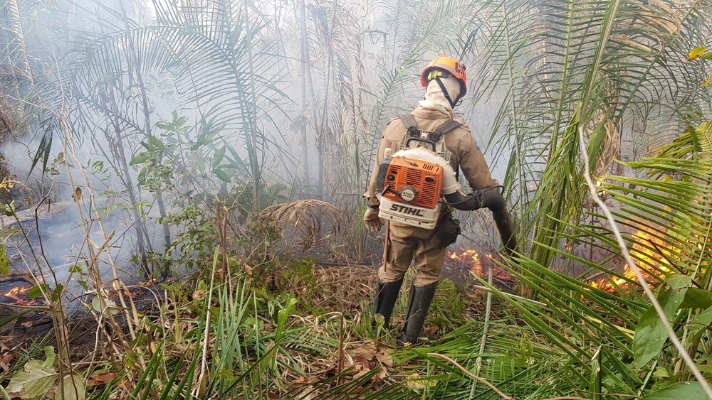 Mato Grosso refora combate a queimadas em 7 regies da Amaznia e coloca mais 16 equipes em campo  Foto: Corpo de Bombeiros de Mato Grosso/Divulgao