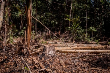 Polícia abriu 145 investigações sobre queimadas e desmatamentos entre junho e agosto em Mato Grosso — Foto: Christiano Antonucci/ Secom-MT