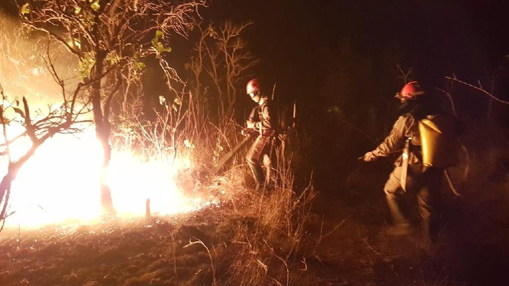 Bombeiros militares combatem dia e noite incndios florestais.  Foto: Corpo de Bombeiros