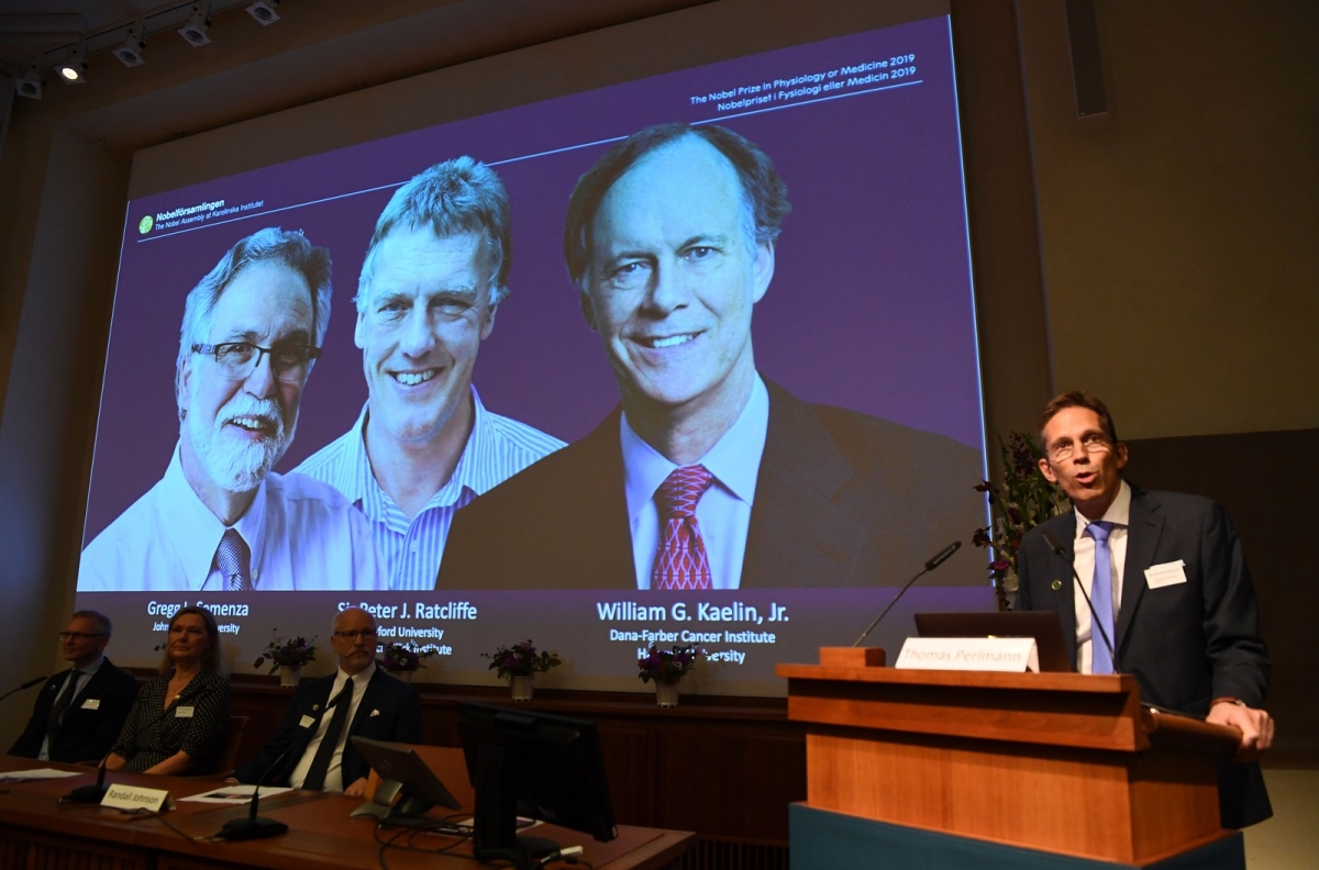 William Kaelin e Gregg Semenza, dos EUA, e Peter Ratcliffe, do Reino Unido, ganham o Prêmio Nobel de Medicina — Foto: Jonathan Nackstrand / AFP