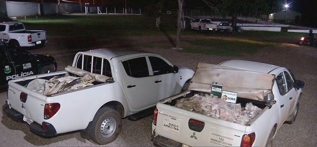 Fiscalizao apreendeu 729 kg de pescado irregular nessa segunda-feira (4) em Rondonpolis  Foto: TV Centro Amrica/Reproduo